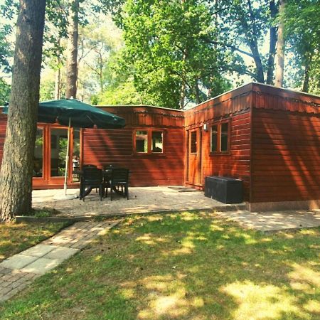 Chalet L2 Dennenrhode Doornspijk ภายนอก รูปภาพ